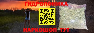 Альфа ПВП Краснознаменск