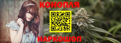 Альфа ПВП Краснознаменск